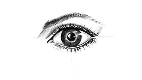 Dibujo los ojos - La pupila debe ser muy oscura, y el iris suele tener un gradiente de color. Deja pequeñas áreas blancas en la pupila y el iris como reflejos en la superficie del ojo para darle vida y realismo a tu dibujo. Finalmente, agrega sombreado al blanco del ojo y a lo largo de los bordes de los pliegues. Fuente: Giphy.